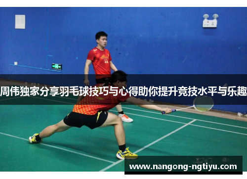 周伟独家分享羽毛球技巧与心得助你提升竞技水平与乐趣