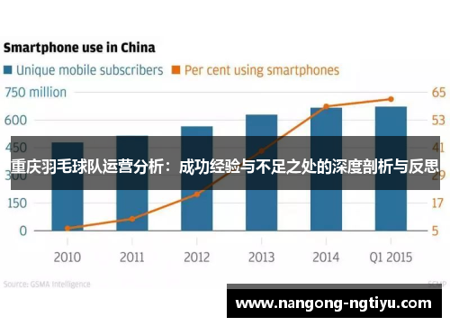重庆羽毛球队运营分析：成功经验与不足之处的深度剖析与反思