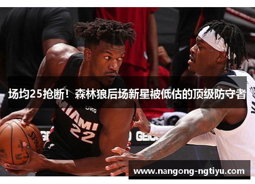场均25抢断！森林狼后场新星被低估的顶级防守者